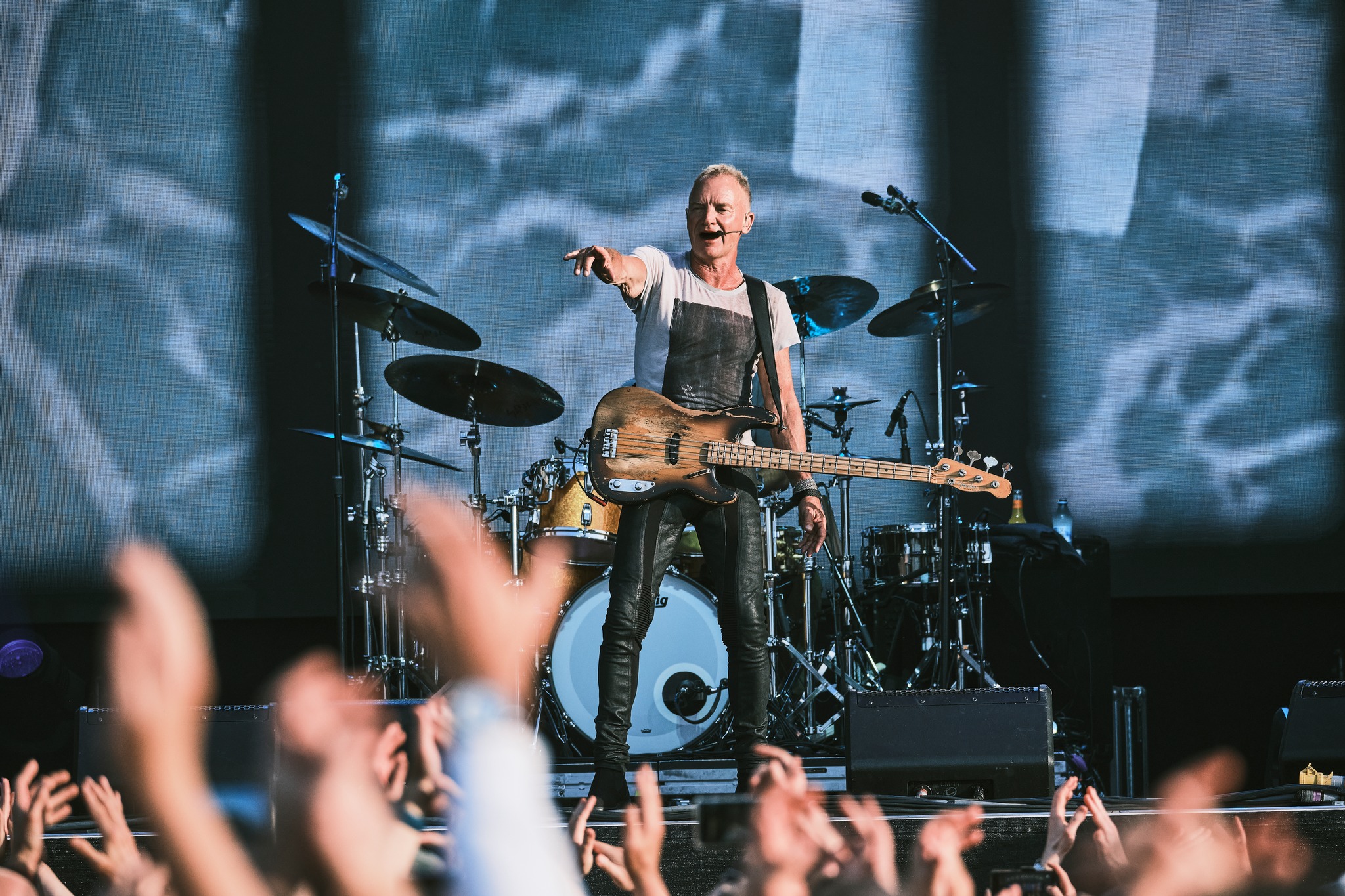 Sting
